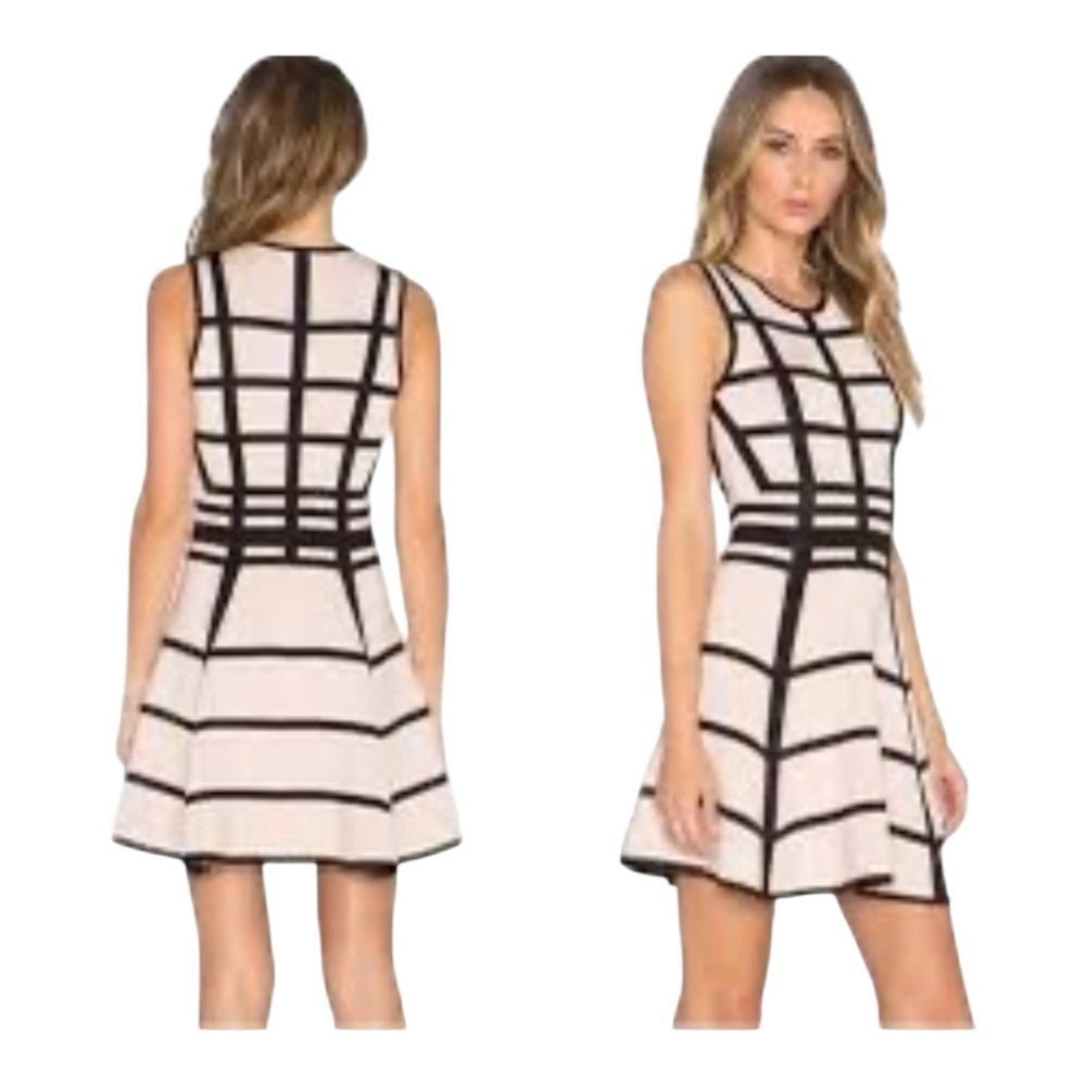 Ronny Kobo Geometric Knit Fit & Flare Dress Black Beige Small
